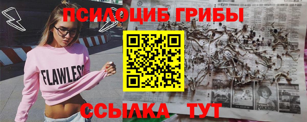 Галлюциногенные грибы ЛСД  Псилоцибиновые грибы Cubensis  Вход с VPN  Новый Уренгой 