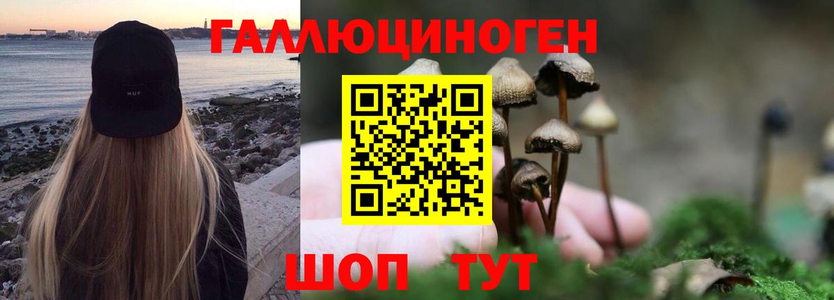 Меф мяу мяу Новый Уренгой